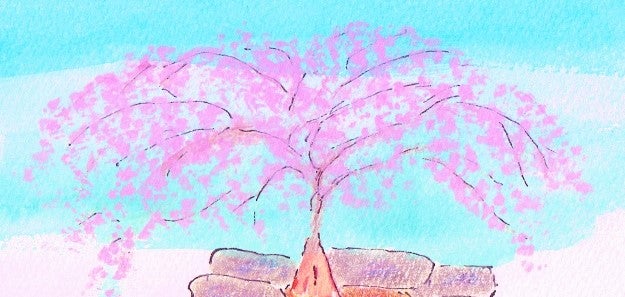 【埼玉県川越市葬儀セレモニーサロン】息子から一生分の親孝行