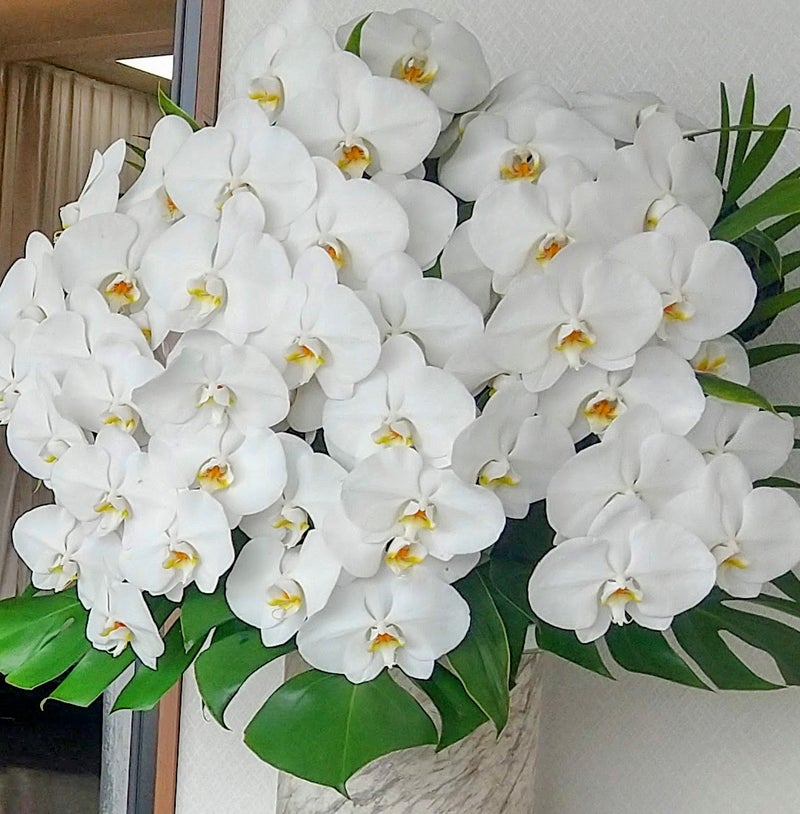 【埼玉県川越市葬儀セレモニーサロン】都内の火葬場