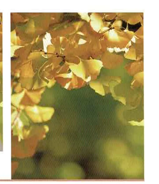 【埼玉県川越市葬儀セレモニーサロン】23年で初めての遺影写真