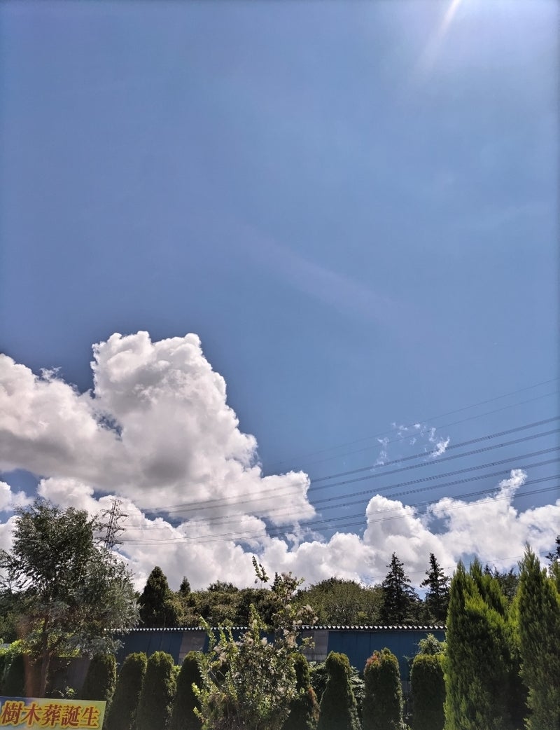 【埼玉県川越市葬儀セレモニーサロン】空からの大きな力