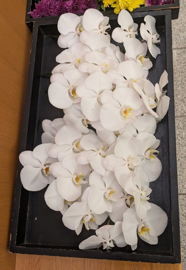 胡蝶蘭のお別れ花 火葬式・直葬 埼玉県川越市葬儀セレモニーサロン】