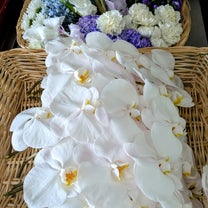 川越市　川越市斎場　市民聖苑葬儀｜【埼玉県川越市葬儀セレモニーサロン】