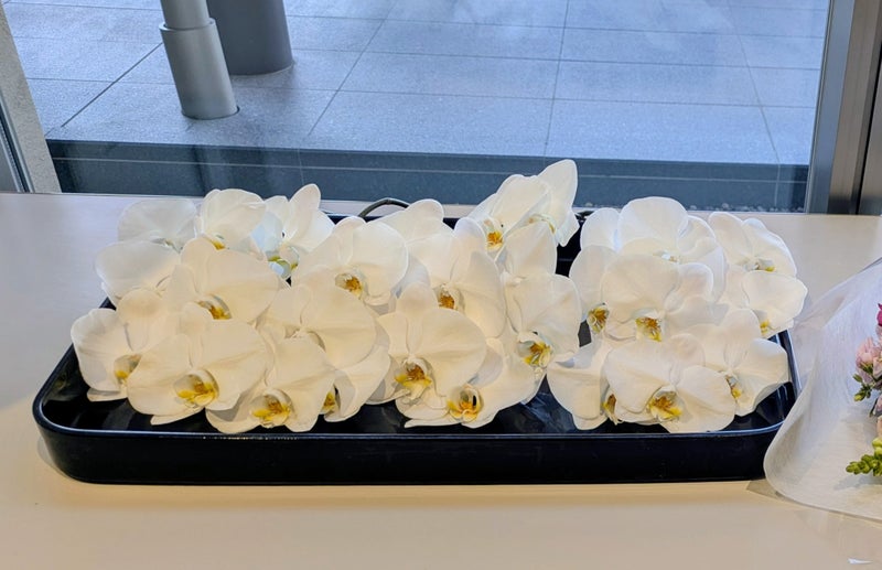 後見人から託された葬儀【埼玉県川越市葬儀セレモニーサロン】