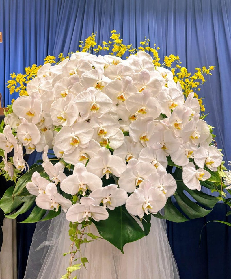 花いっぱいのお葬式 １日葬【埼玉県川越市葬儀セレモニーサロン】